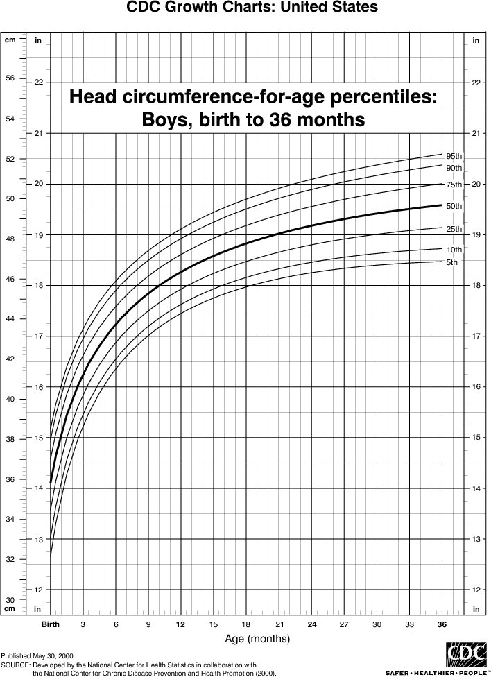 Average Fetal Head Circumference Chart
